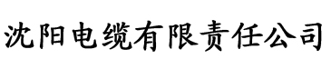 秋霞午夜伦理影院电缆厂logo